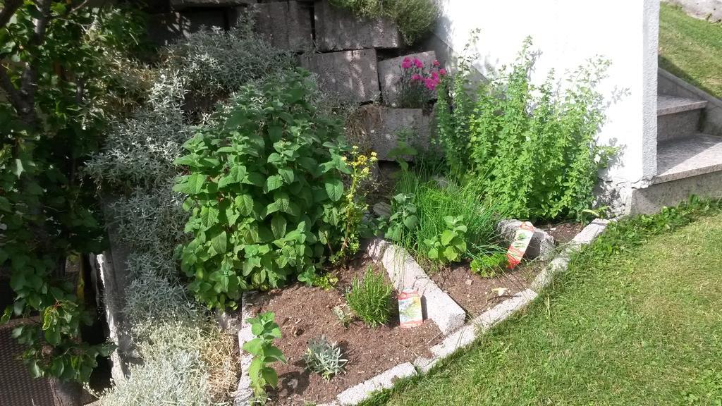 Haus Mattle Apartment Pettneu am Arlberg Luaran gambar